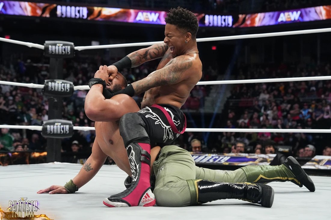 All Elite Wrestling: Dynasty