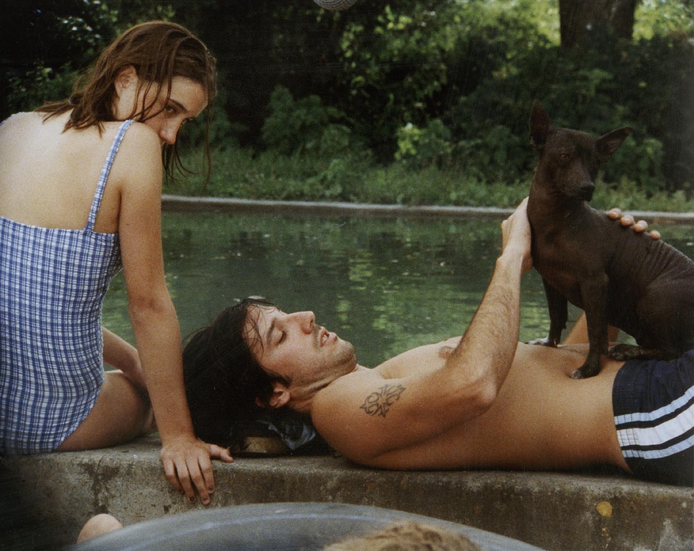 The Swamp (2001) The Swamp (2001)