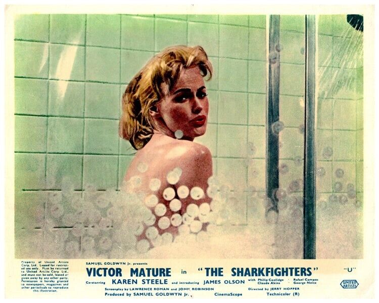The Sharkfighters