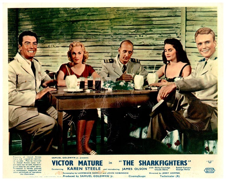 The Sharkfighters