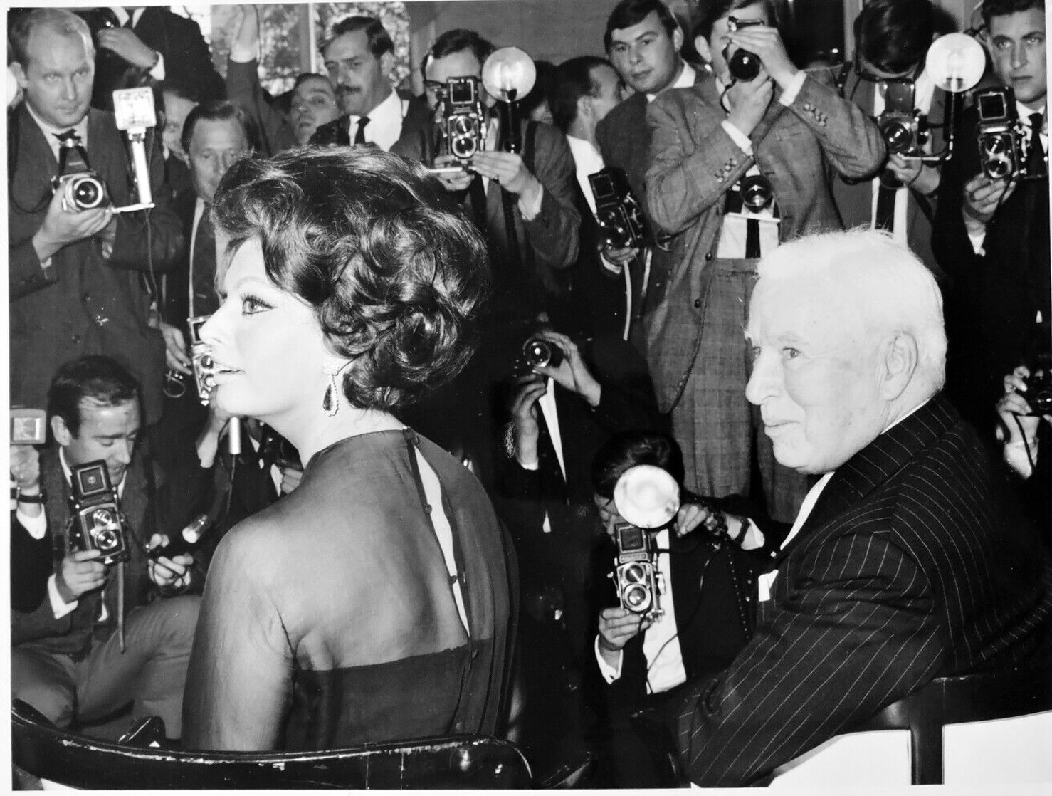 Sophia Loren