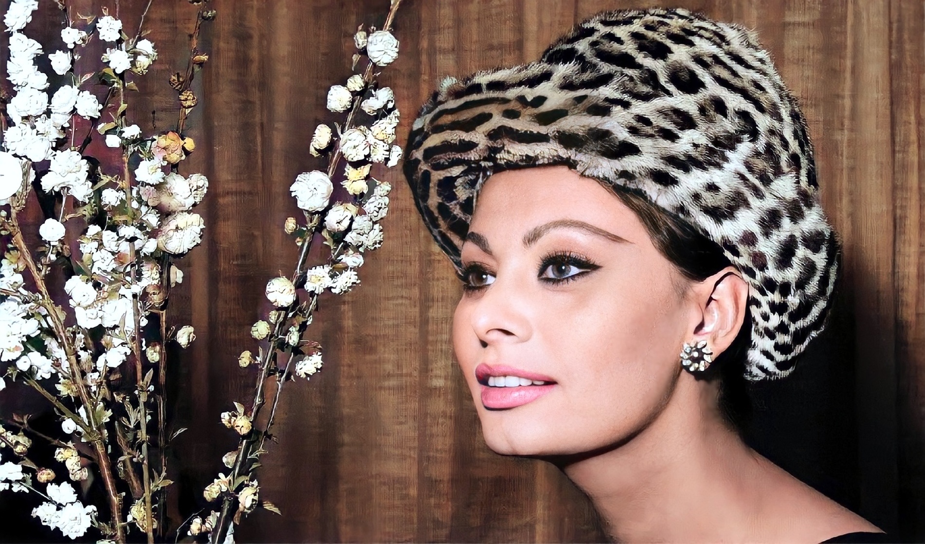 Sophia Loren Sophia Loren