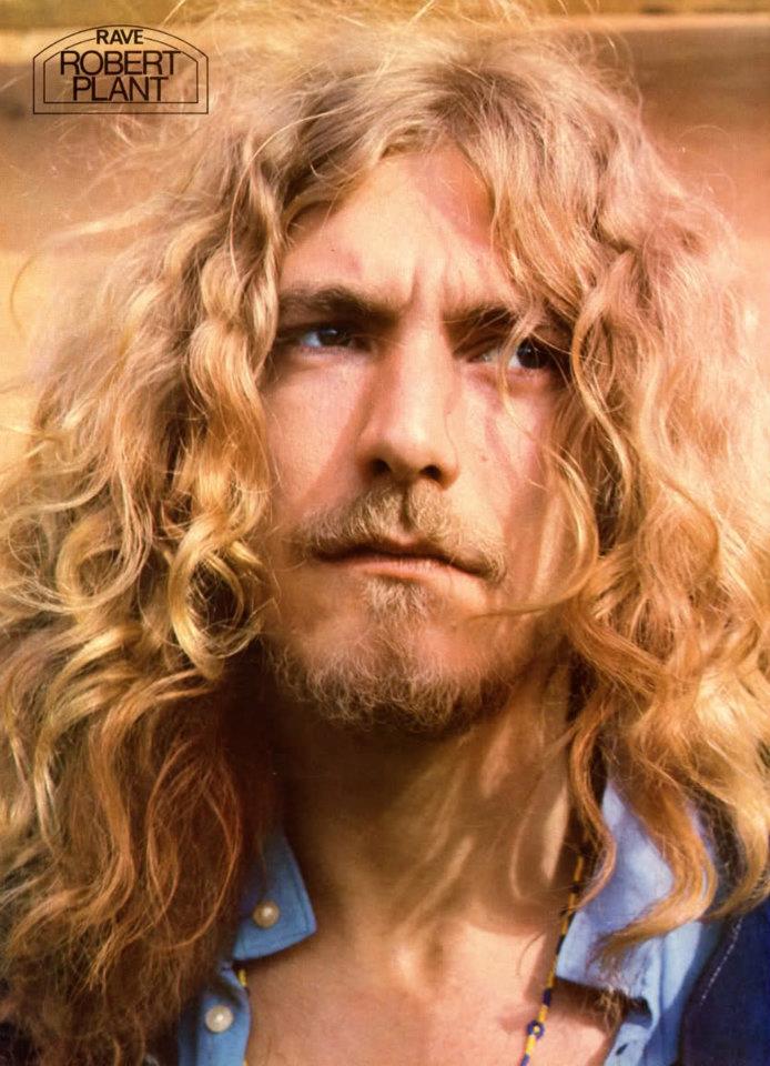 Robert Plant picture