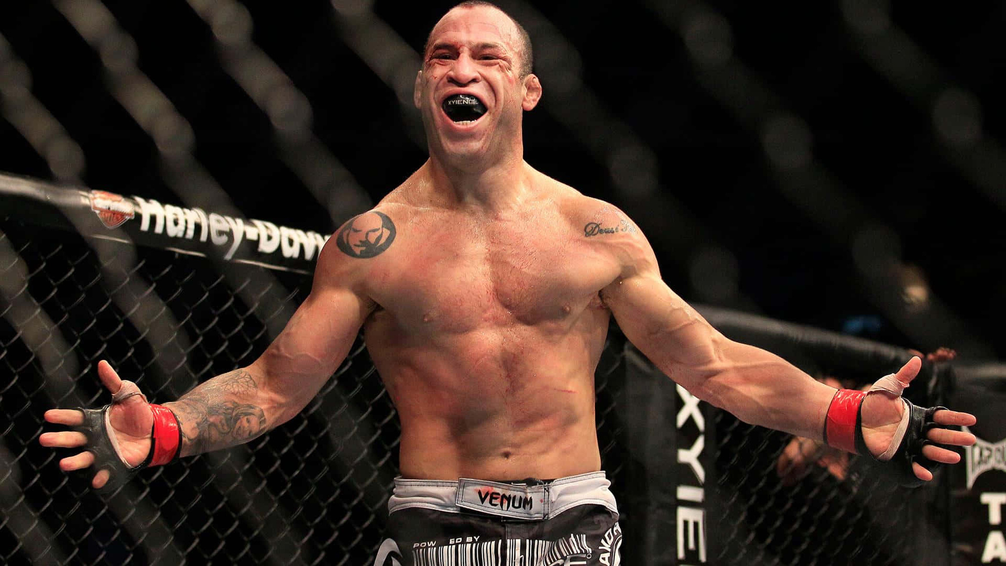 Wanderlei Silva