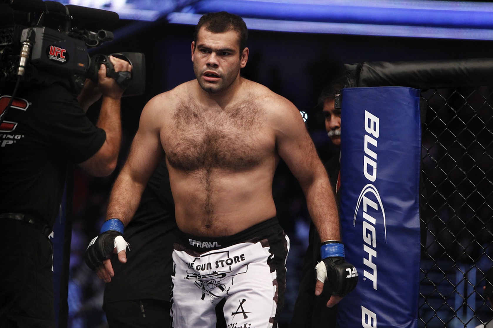 Gabriel Gonzaga