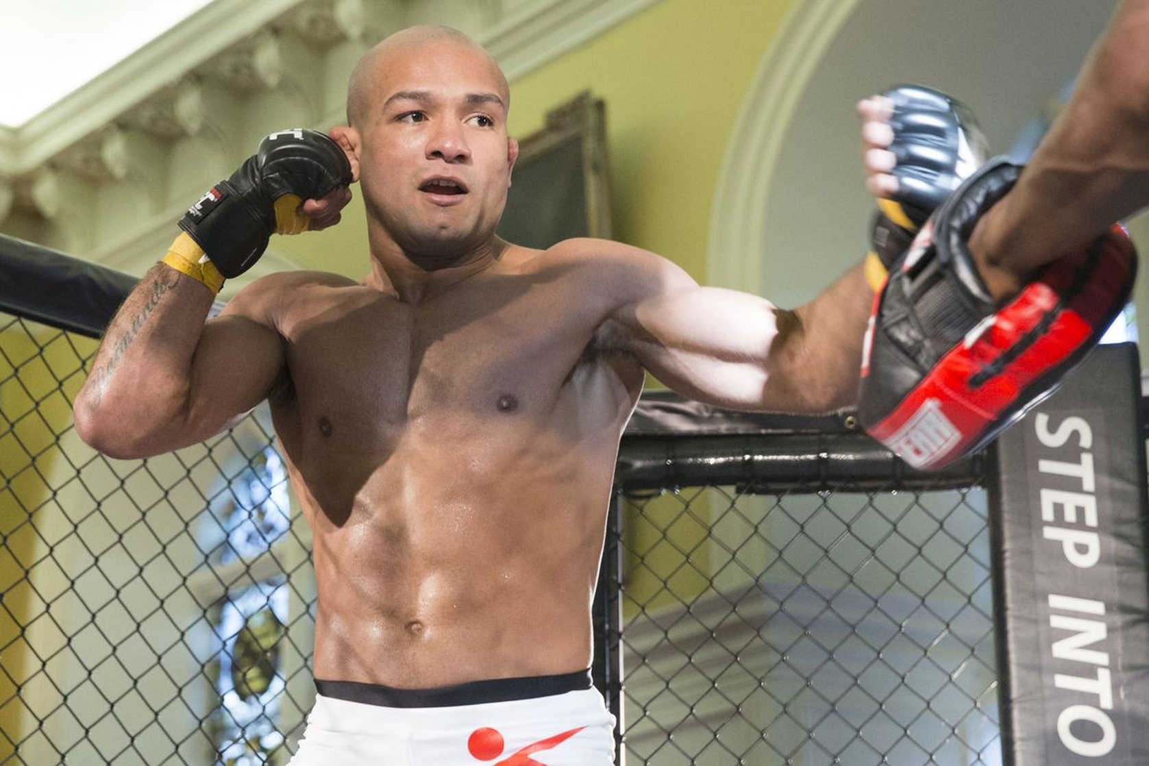 Diego Brandao