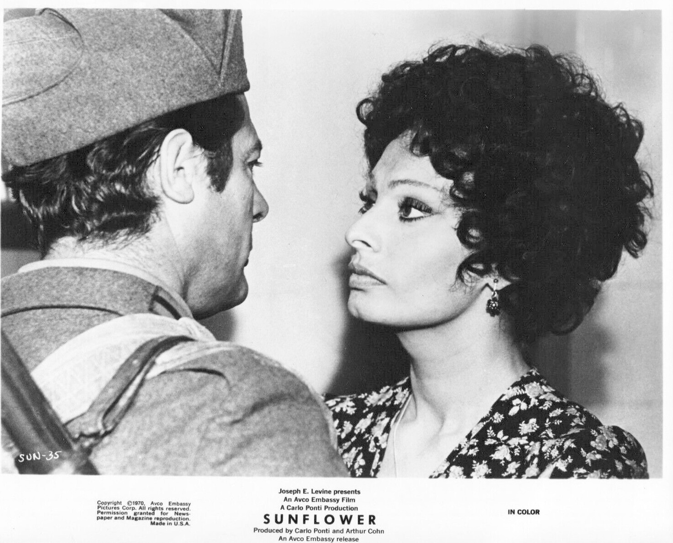 Sophia Loren Sophia Loren