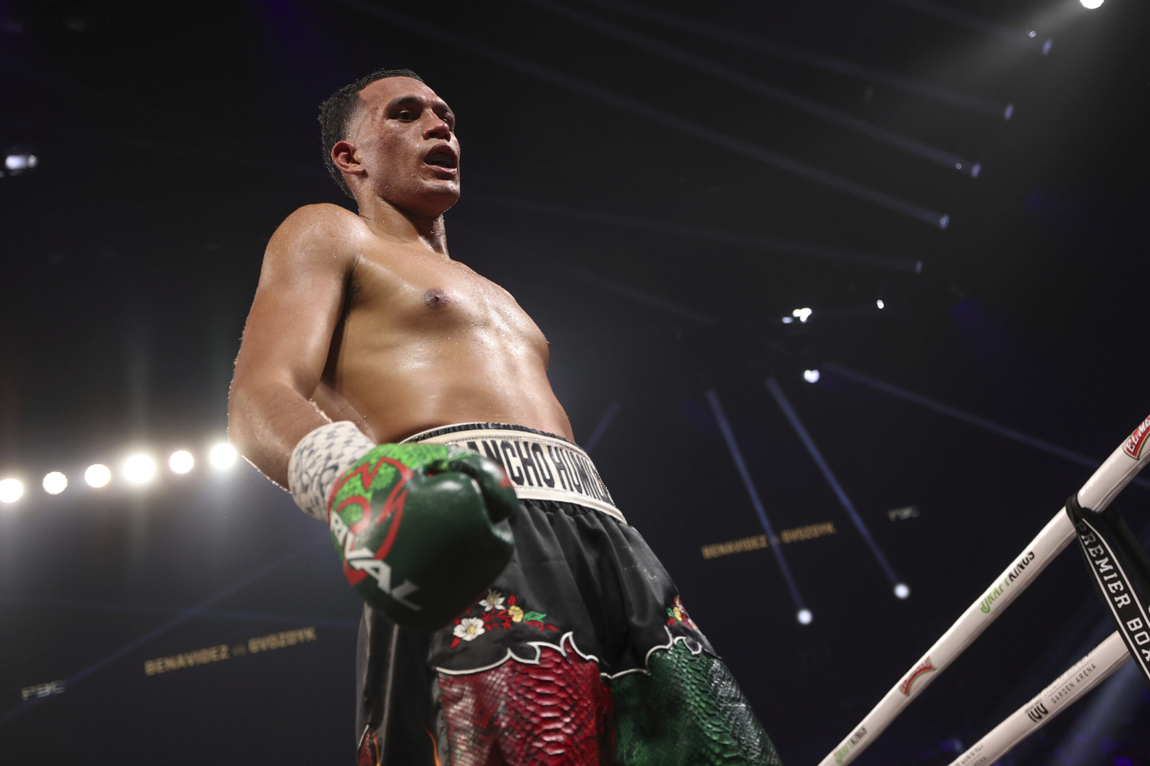 David Benavidez