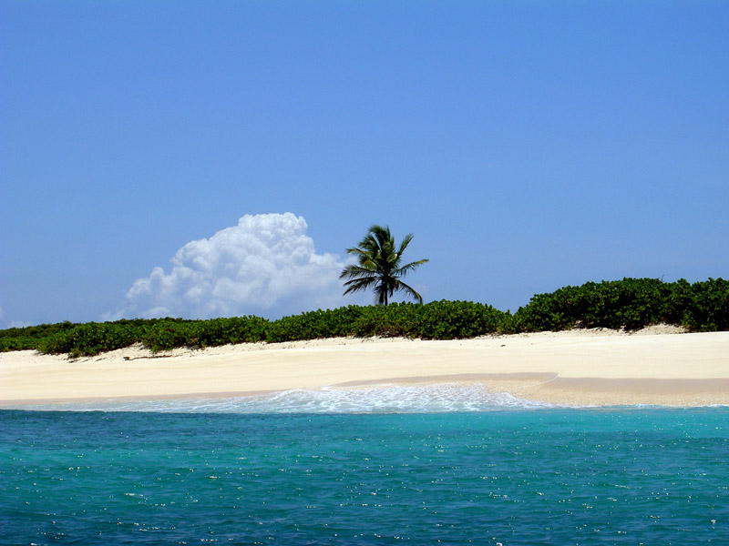 Anguilla Anguilla