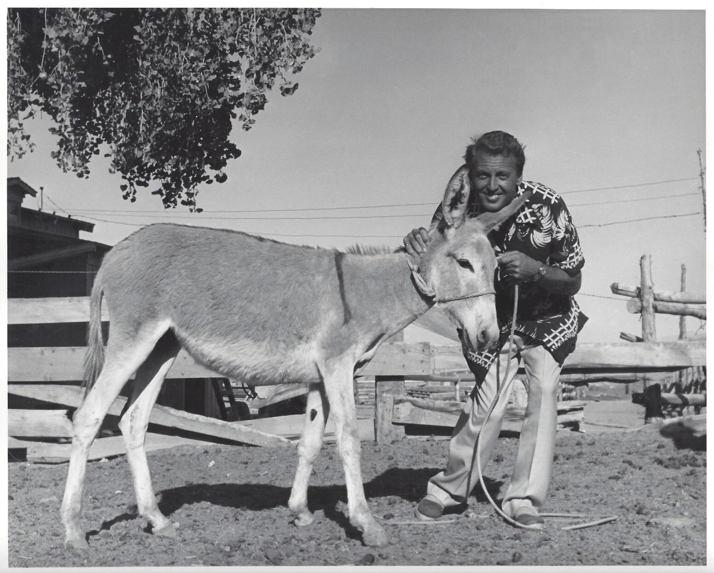 Allan Jones