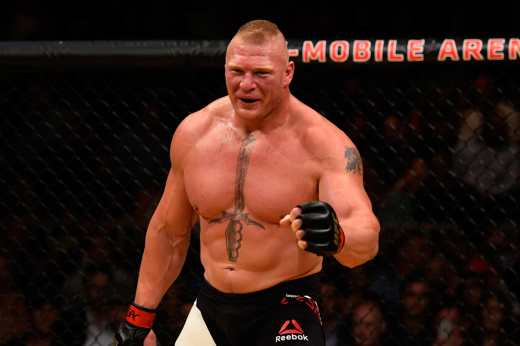 Brock Lesnar