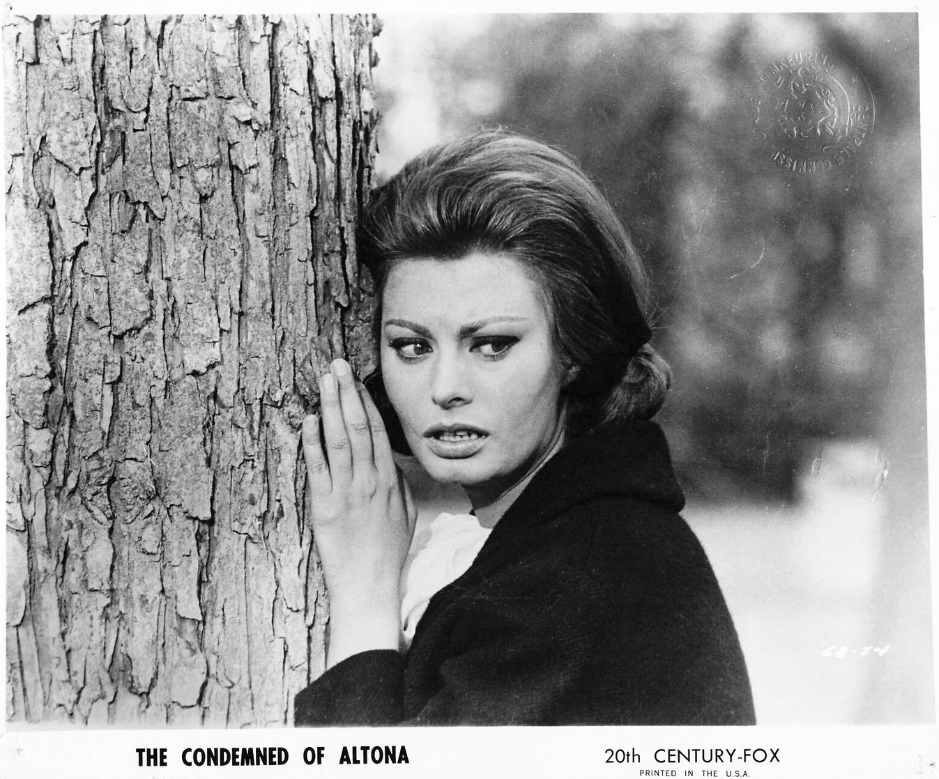 Sophia Loren