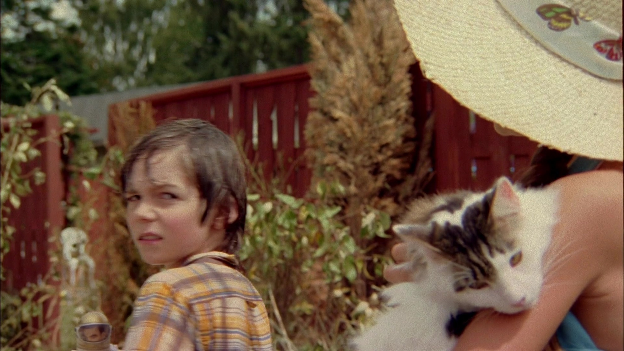The Sandlot 2 (2005)