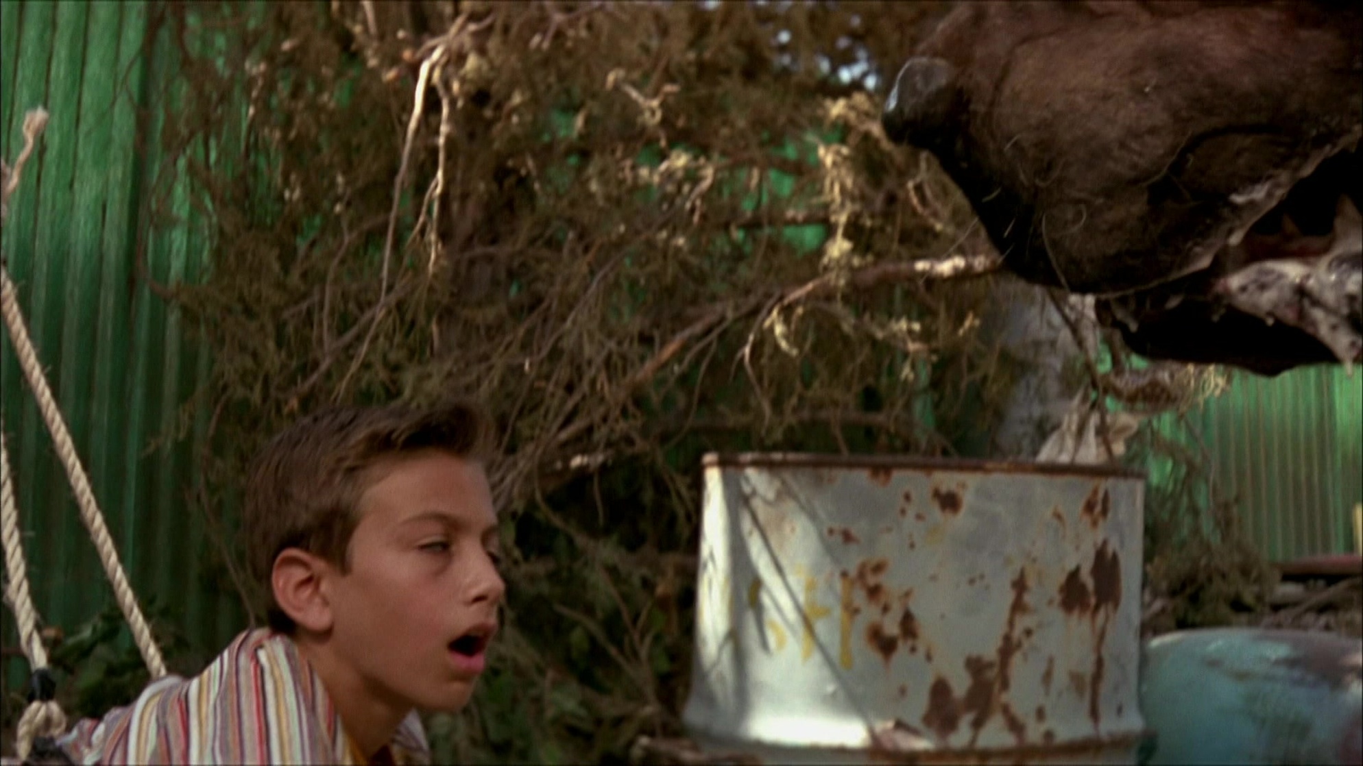 The Sandlot 2 (2005)