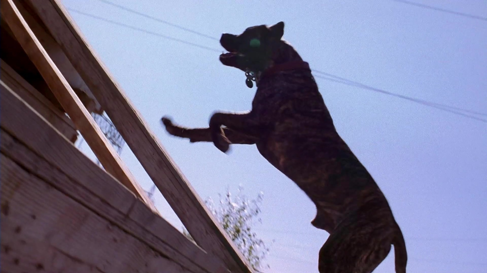 The Sandlot 2 (2005)