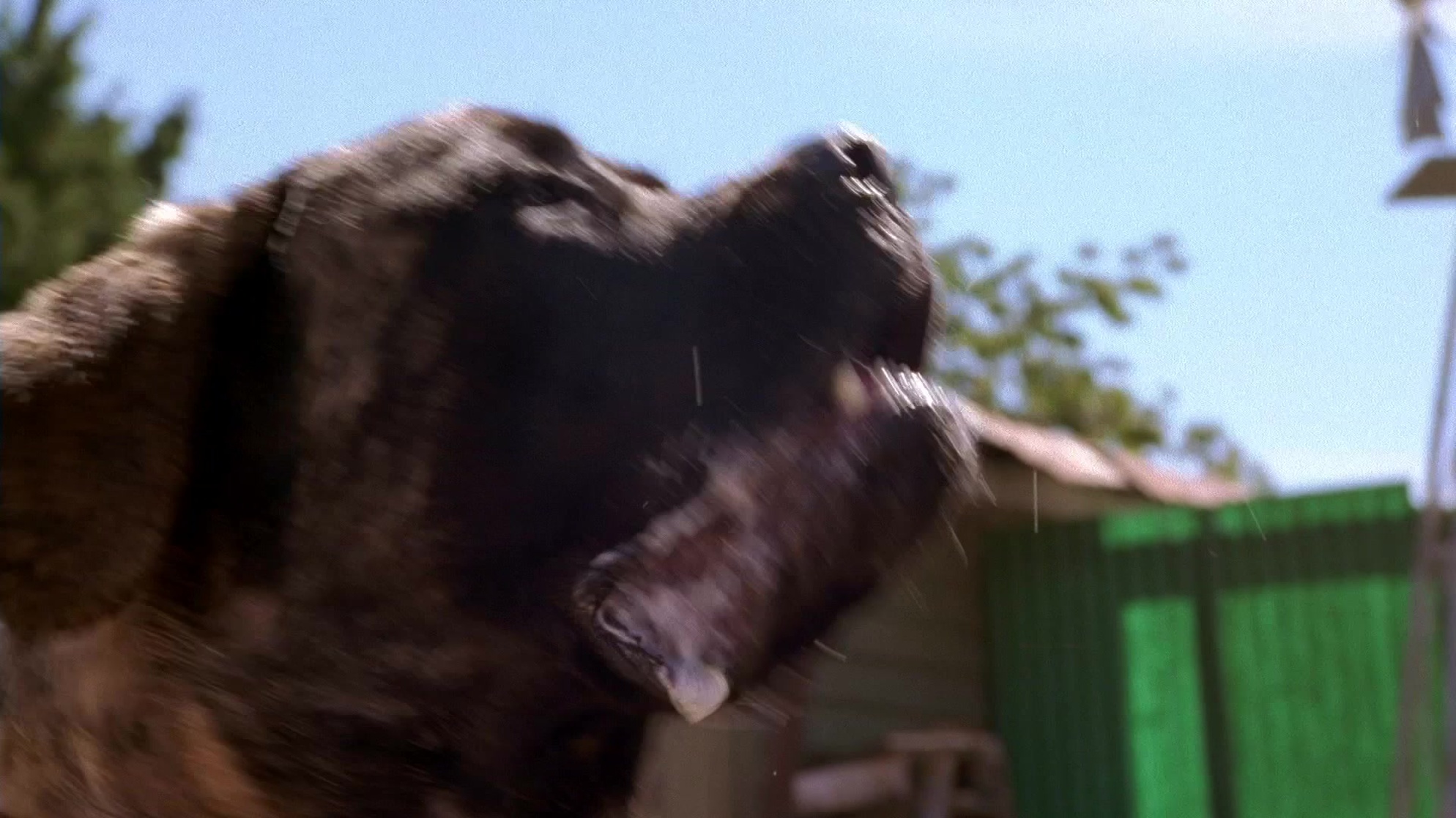 The Sandlot 2 (2005)