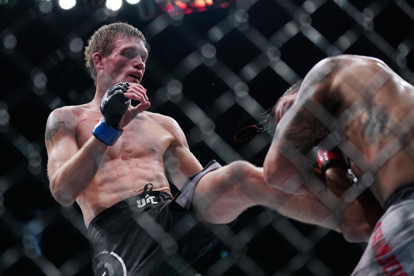 Dennis Bermudez
