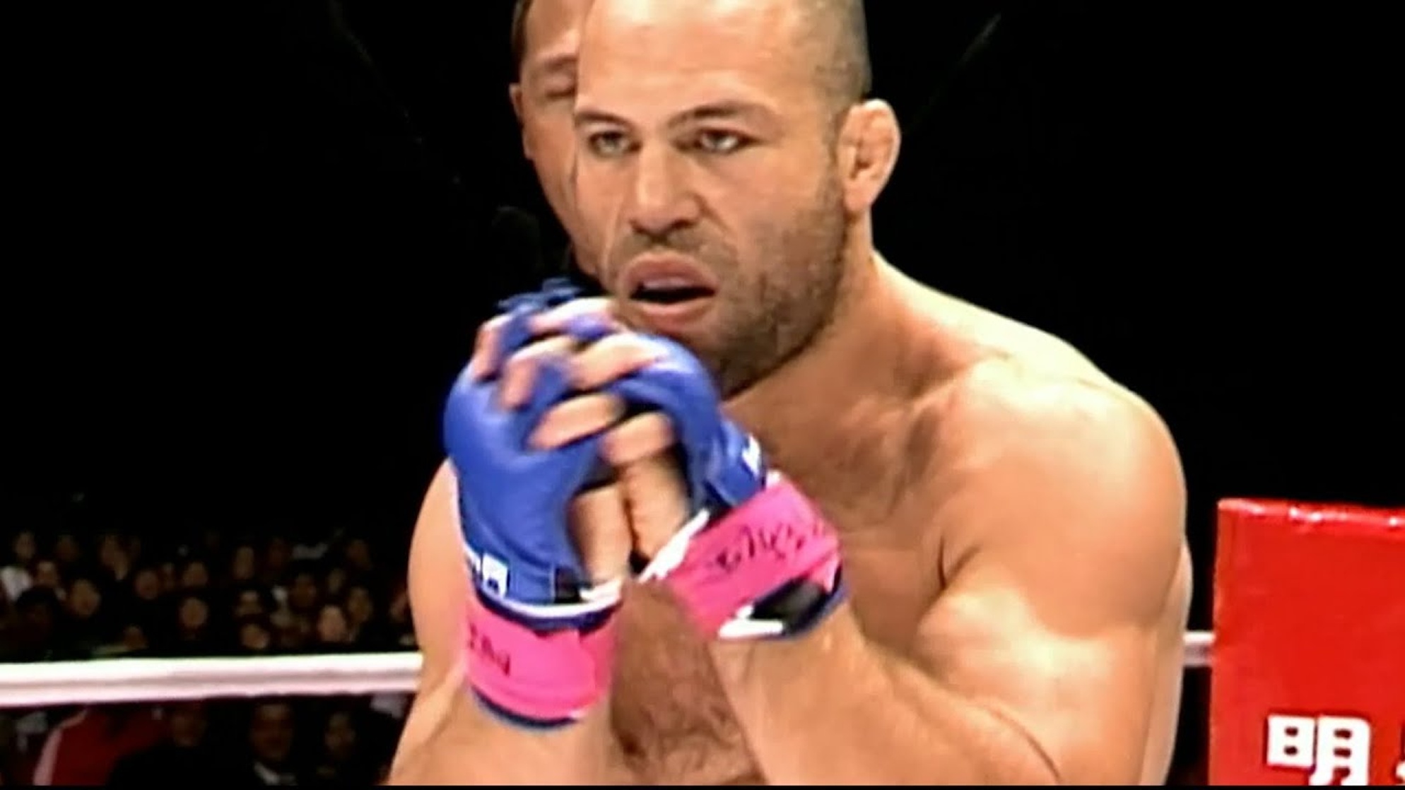 Wanderlei Silva