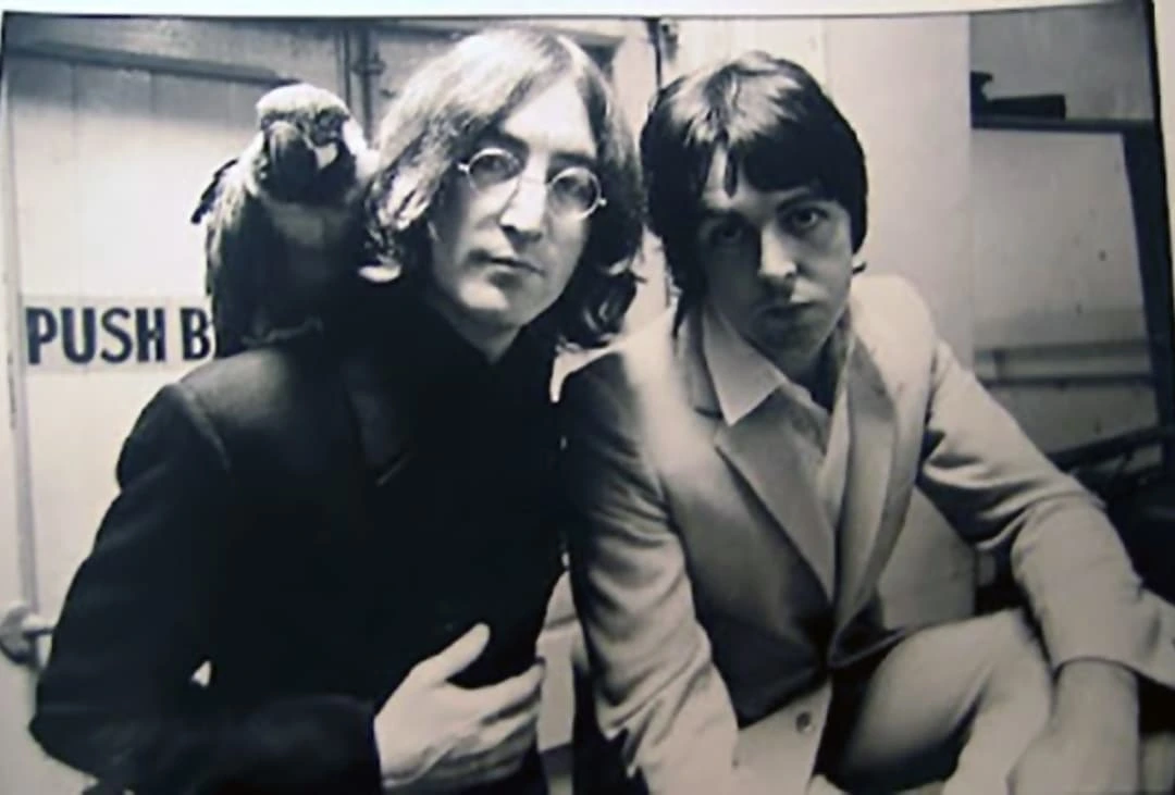 The Beatles The Beatles
