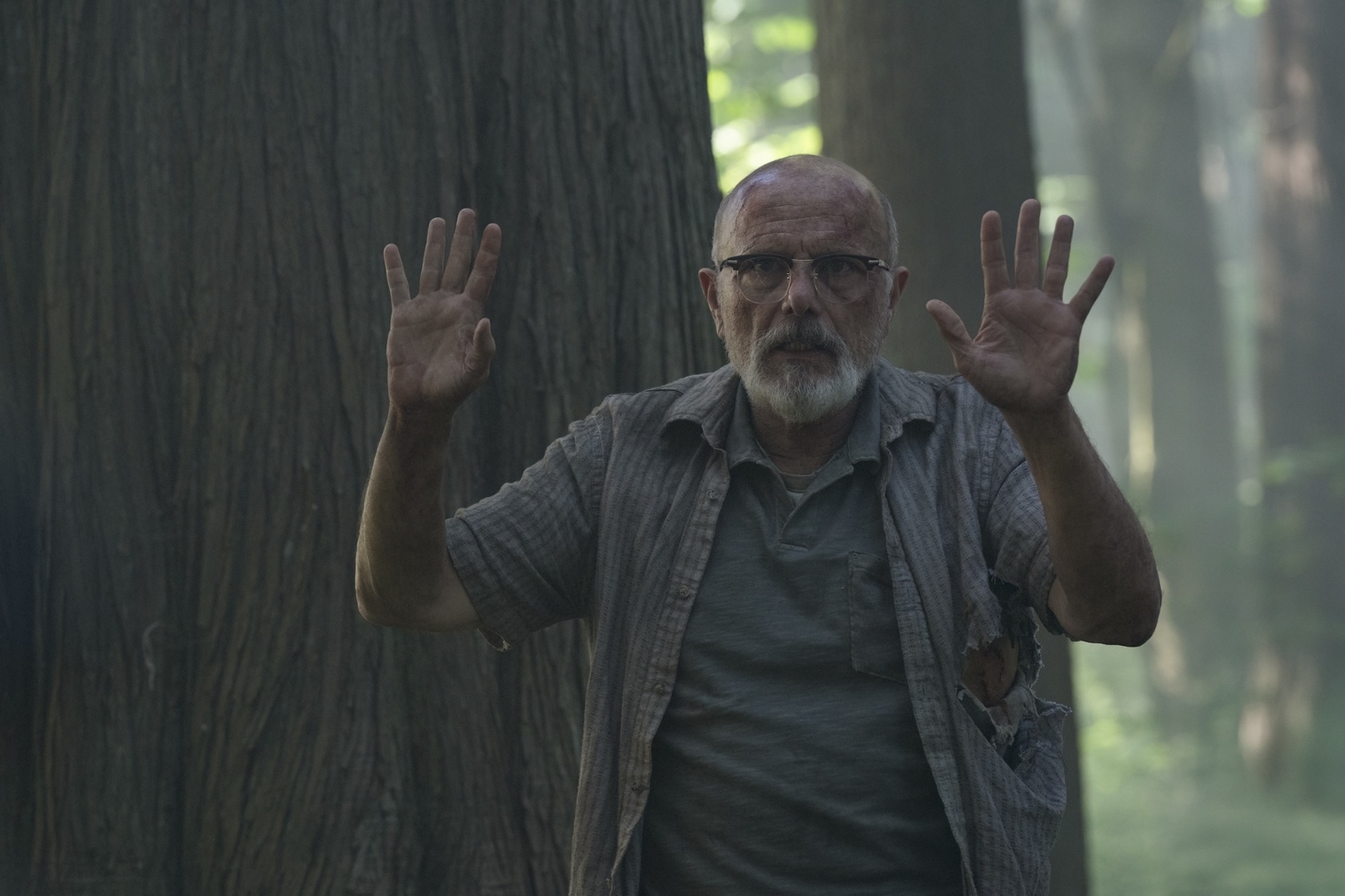 The Last of Us