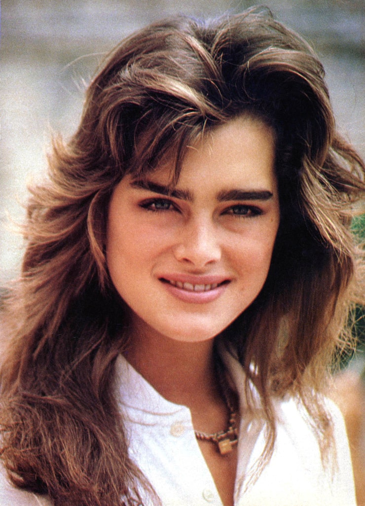 Brooke Shields 1981-1982 - Google Arts & Culture | 80's hairstyle, Hairstyle,  80s big hair