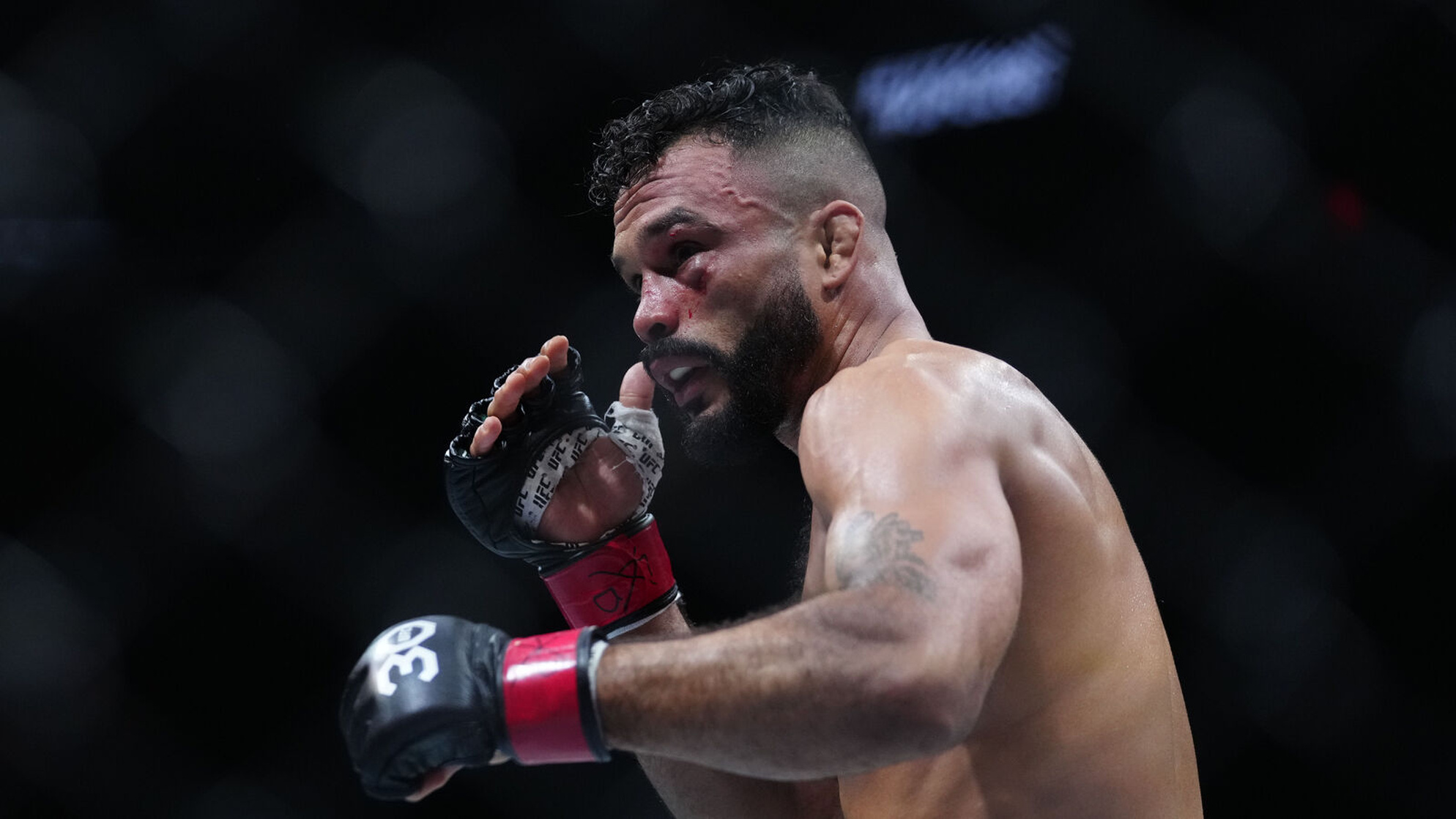 Rob Font