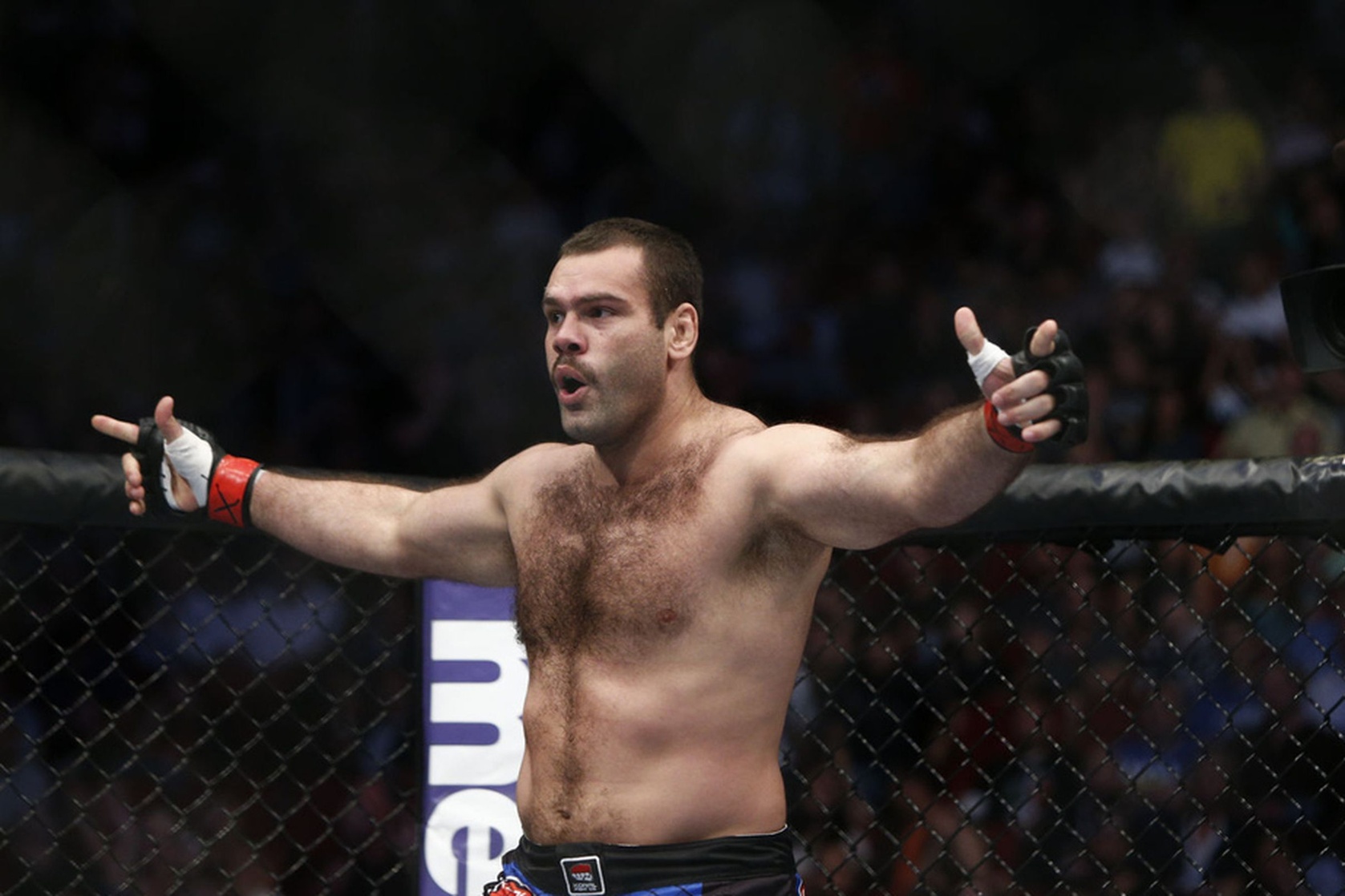 Gabriel Gonzaga