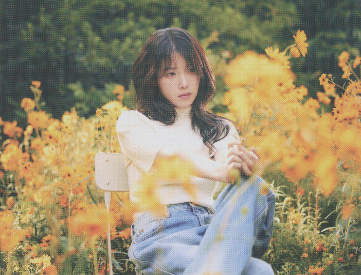 IU IU