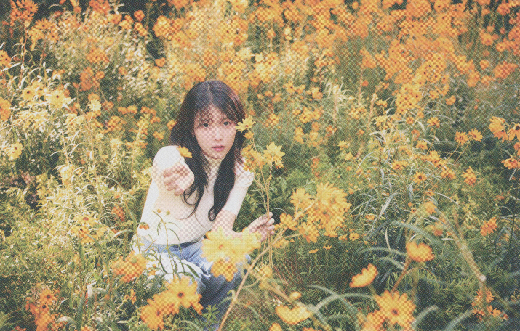 IU IU