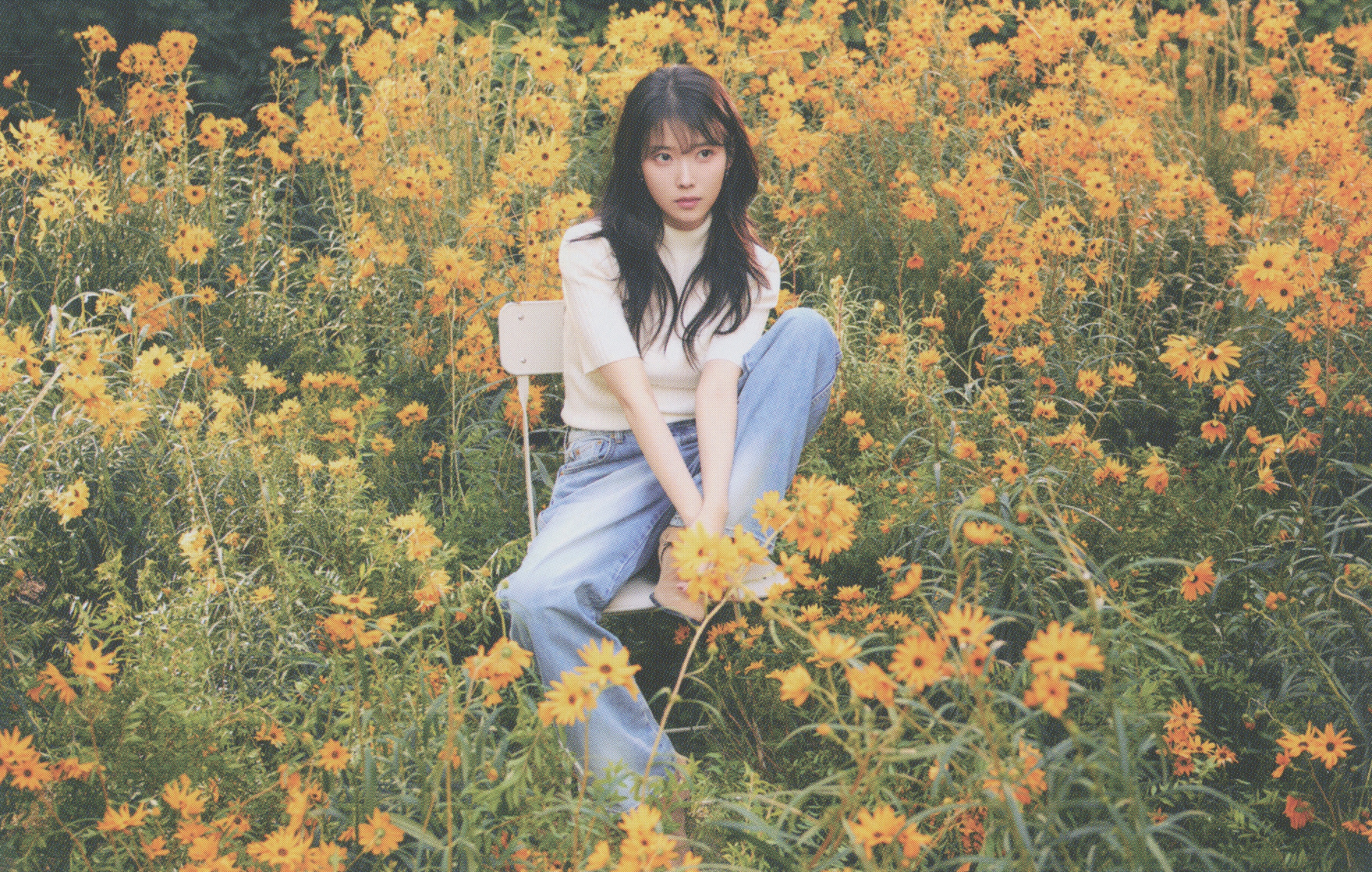 IU IU