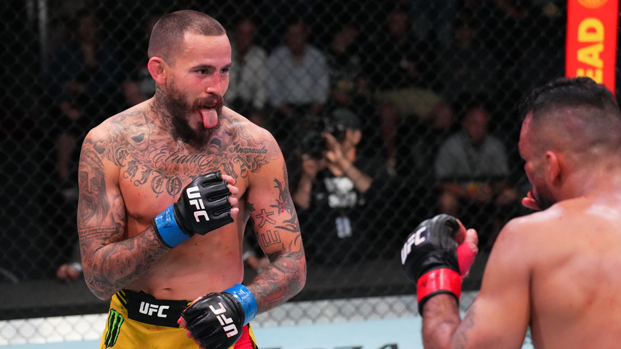 Marlon Vera