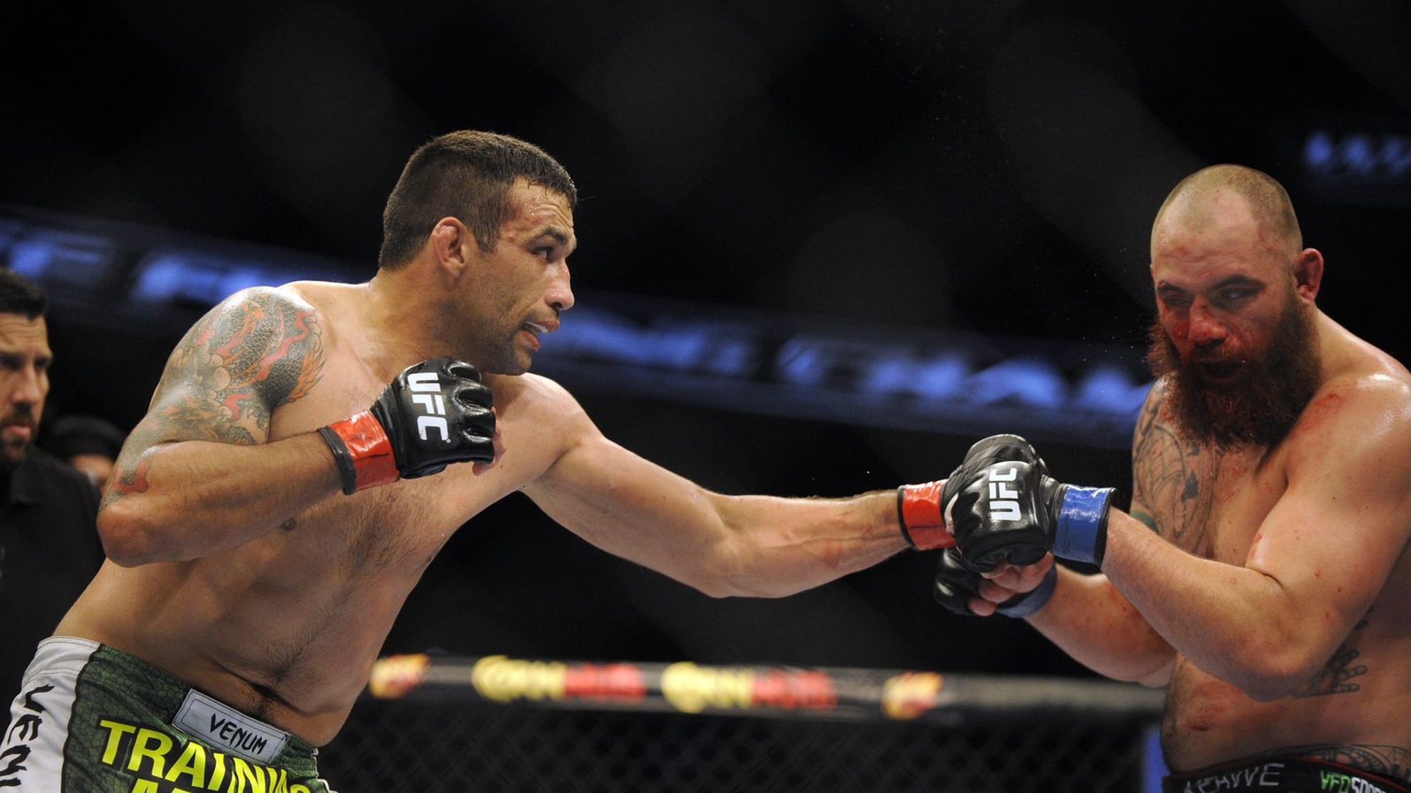Fabricio Werdum