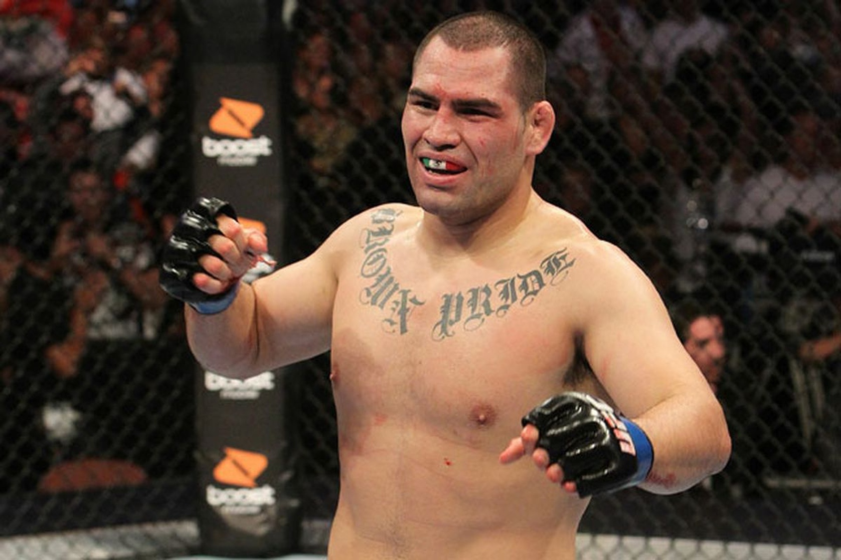 Cain Velasquez