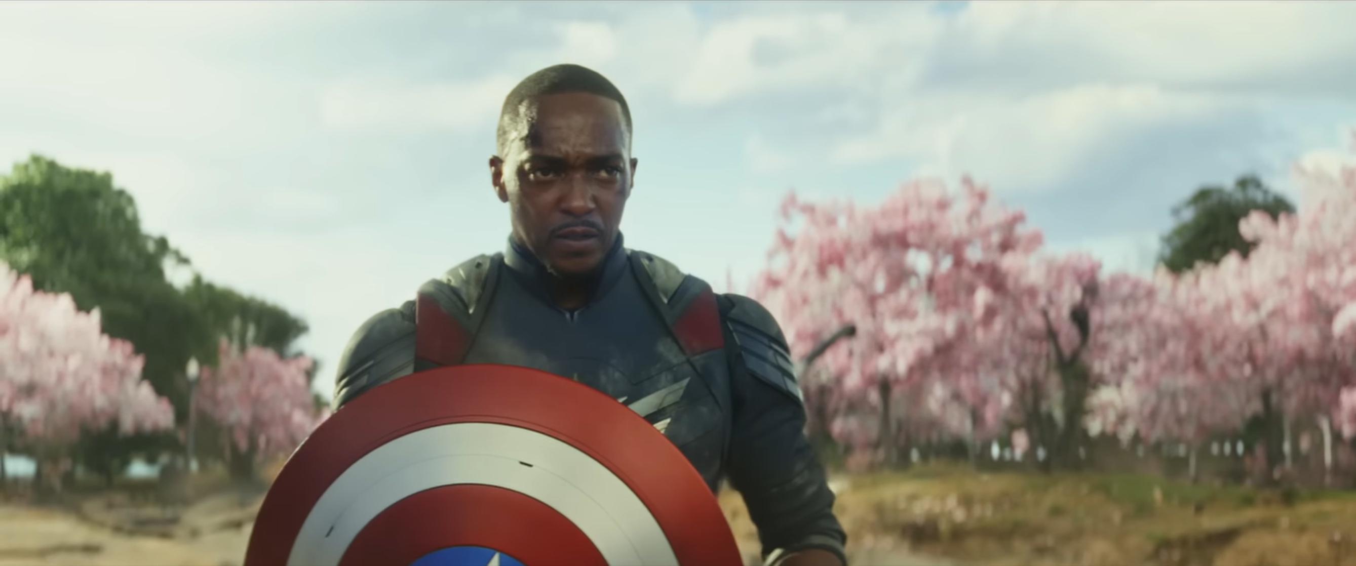 Sam Wilson / Falcon / Captain America (Anthony Mackie)