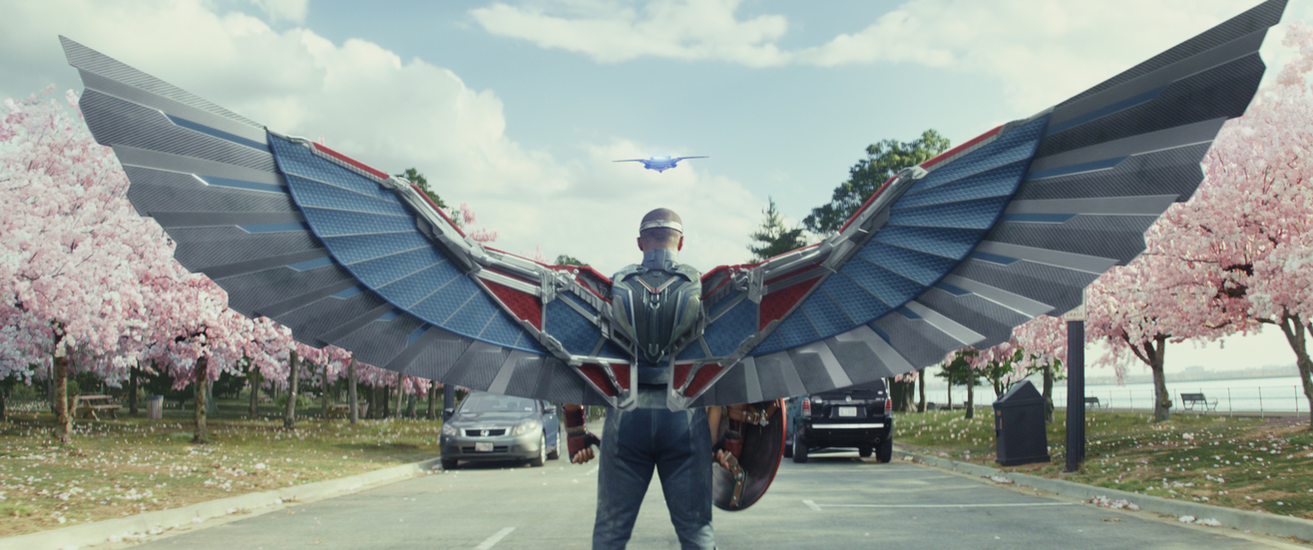 Sam Wilson / Falcon / Captain America (Anthony Mackie)