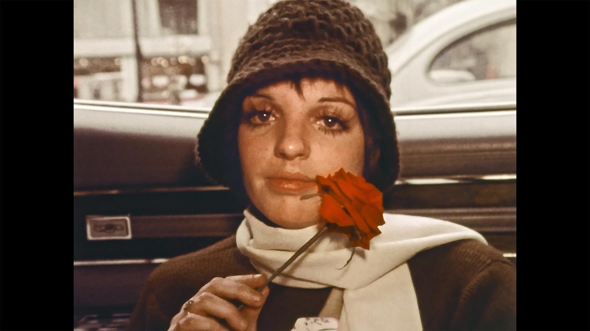 Liza: A Truly Terrific Absolutely True Story