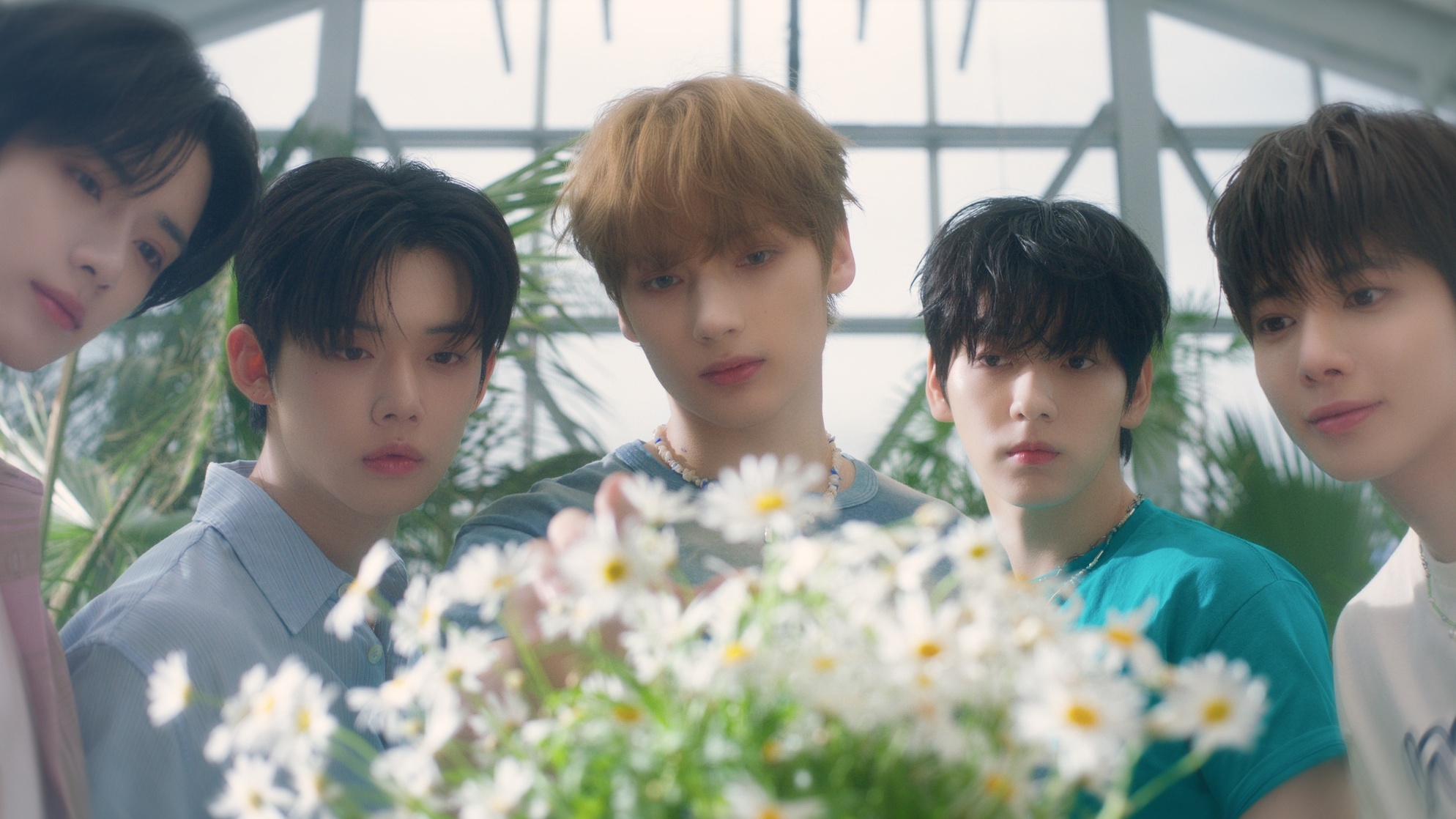 TXT