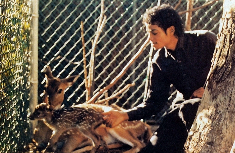 Michael Jackson