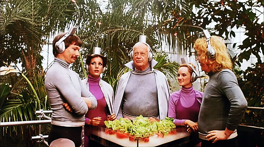 Warum die UFOs unseren Salat klauen