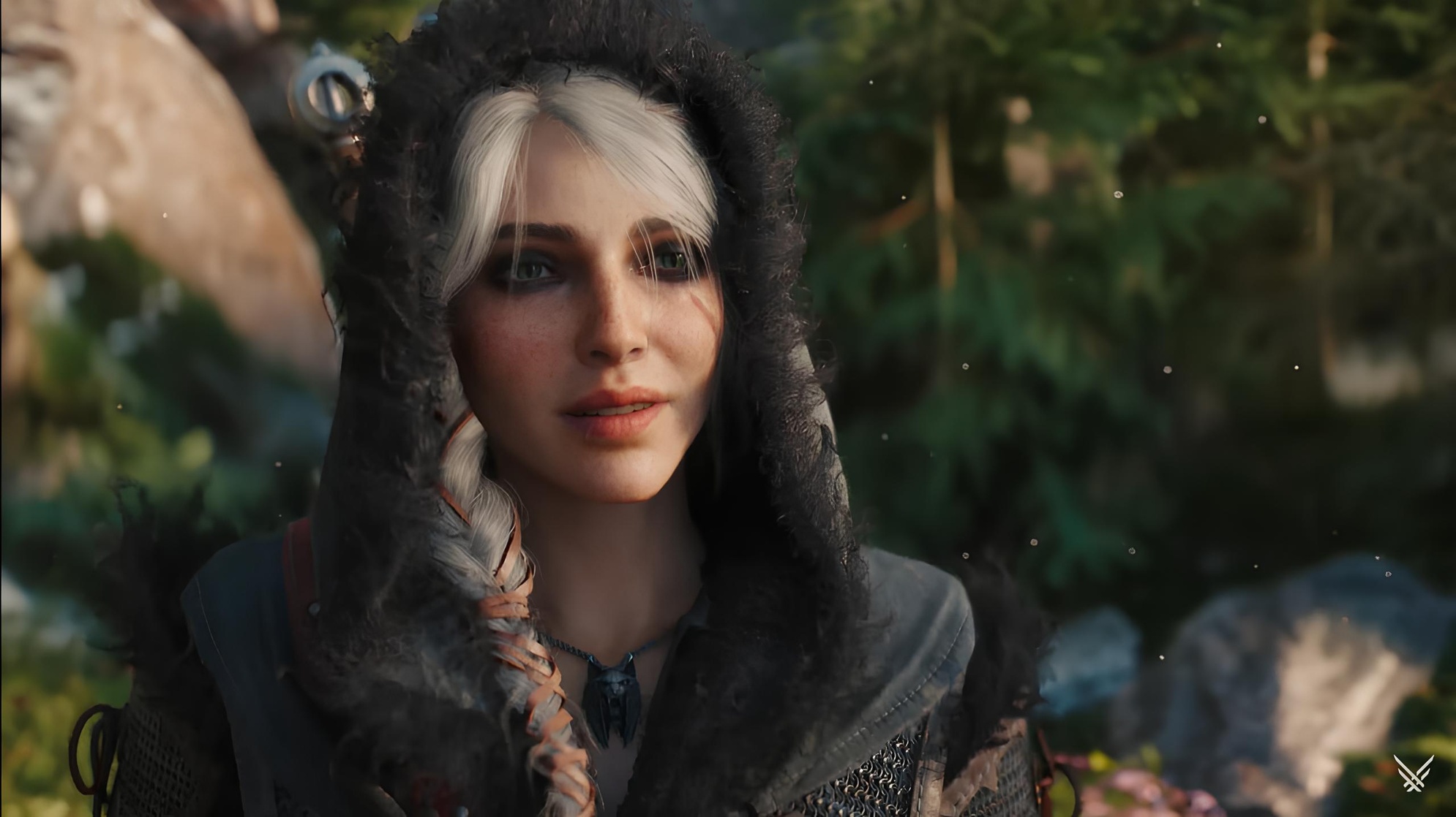 The Witcher IV
