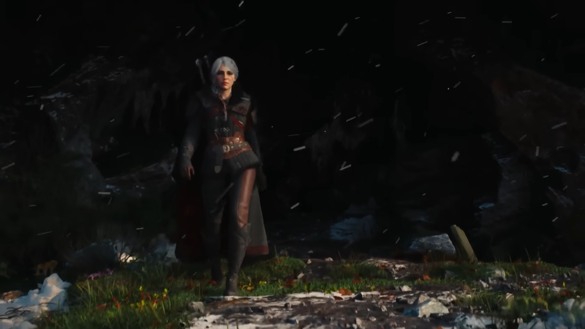 The Witcher IV