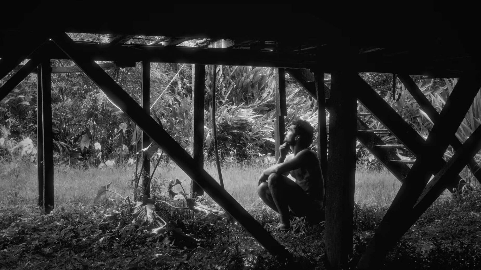 Dog Dog Picture dog-dog-picture