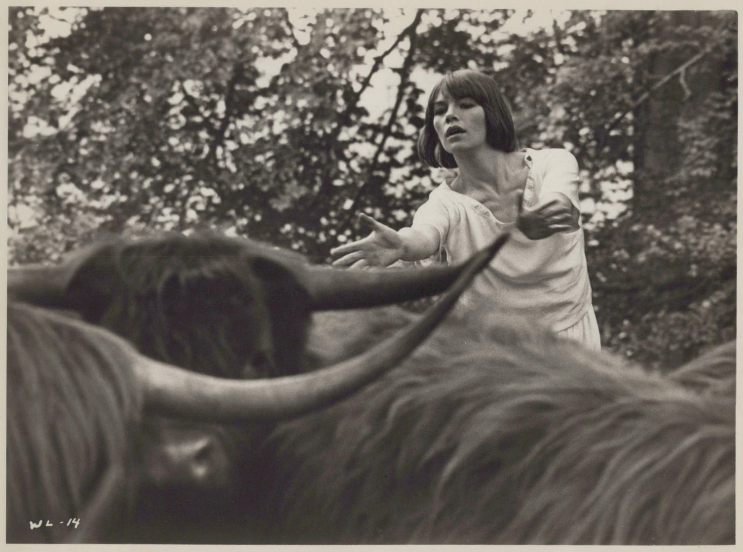 Glenda Jackson Glenda Jackson
