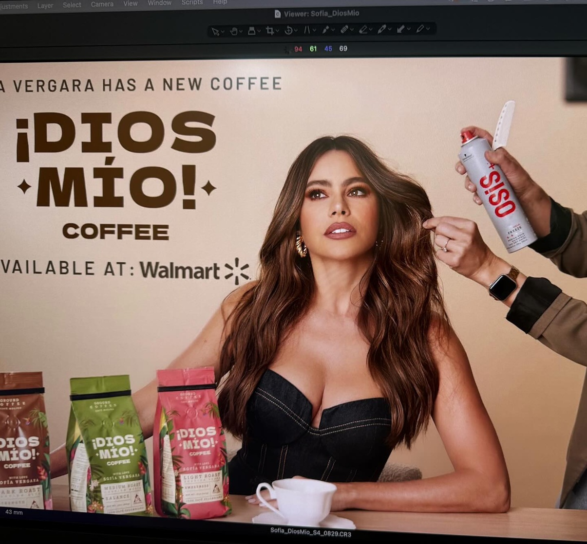 Sofía Vergara
