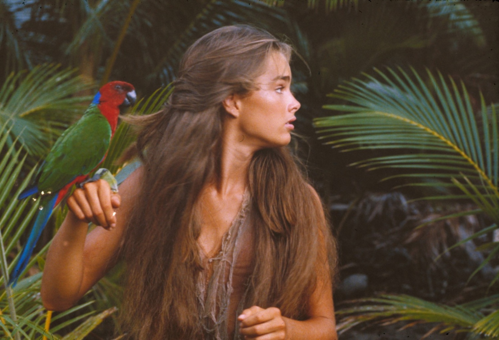 Brooke Shields