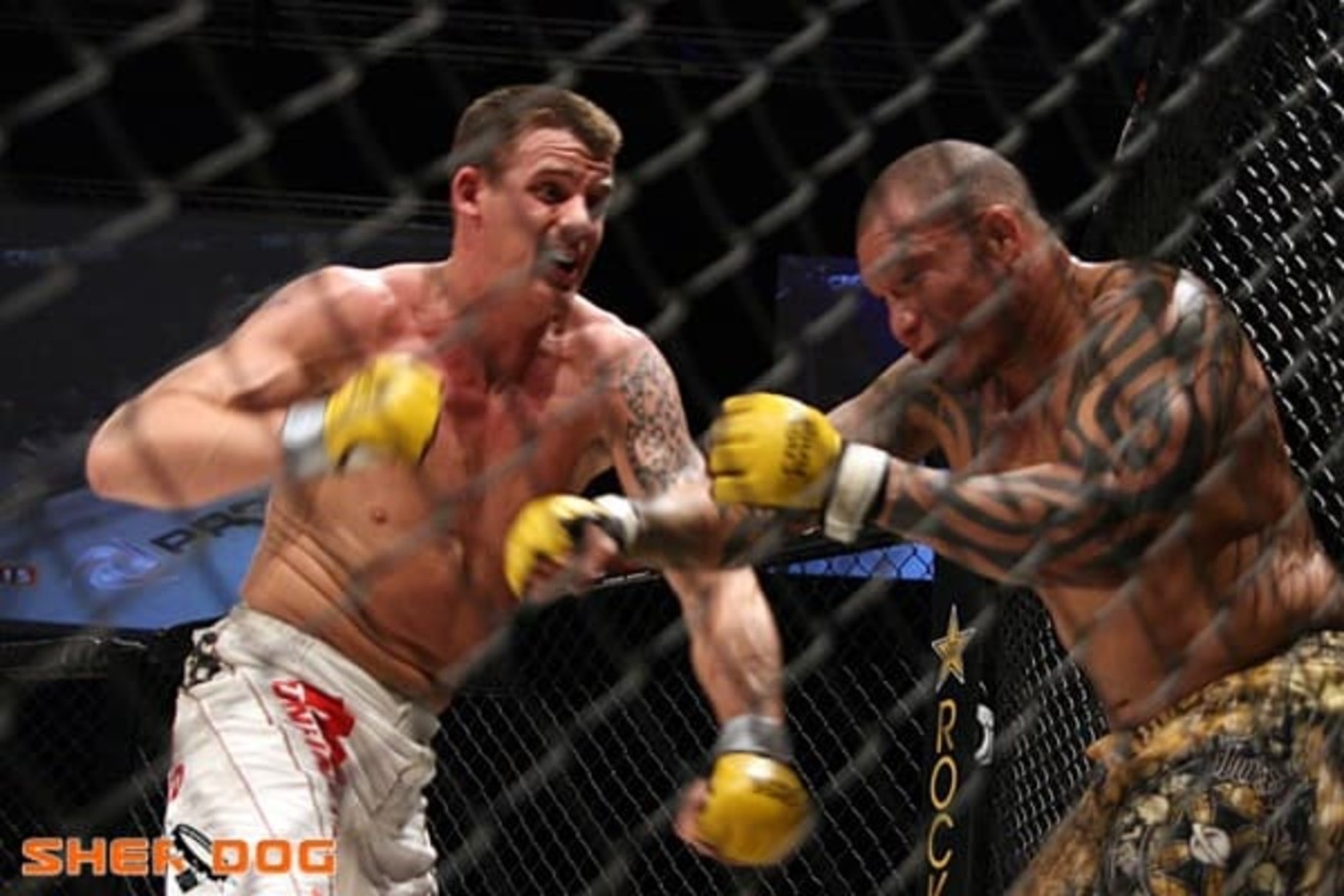 Marc Goddard