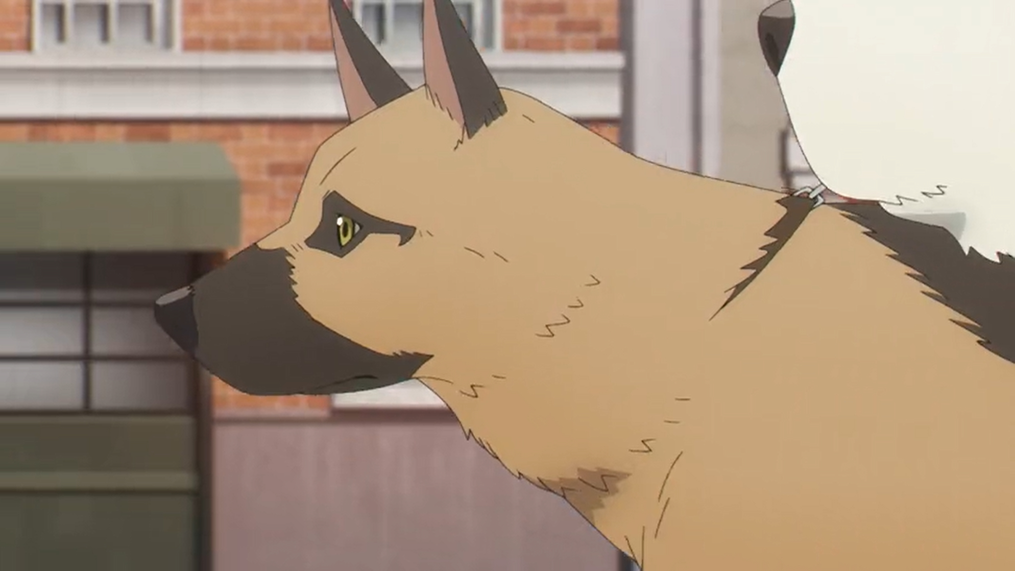 Aaron (Spy x Family)