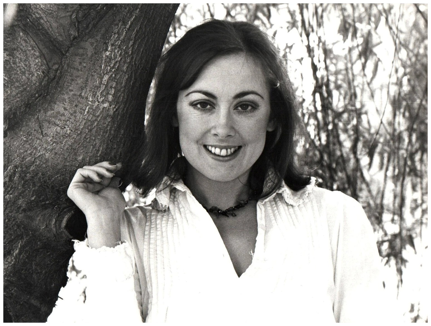 Paula Wilcox