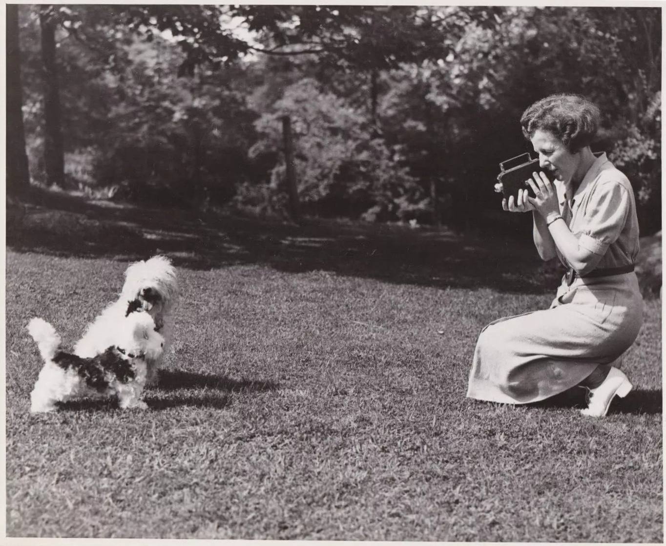 Edwina Dumm