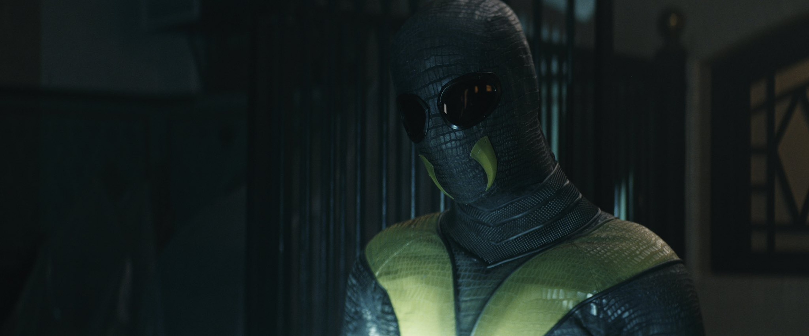 Webweaver (Dan Mousseau)